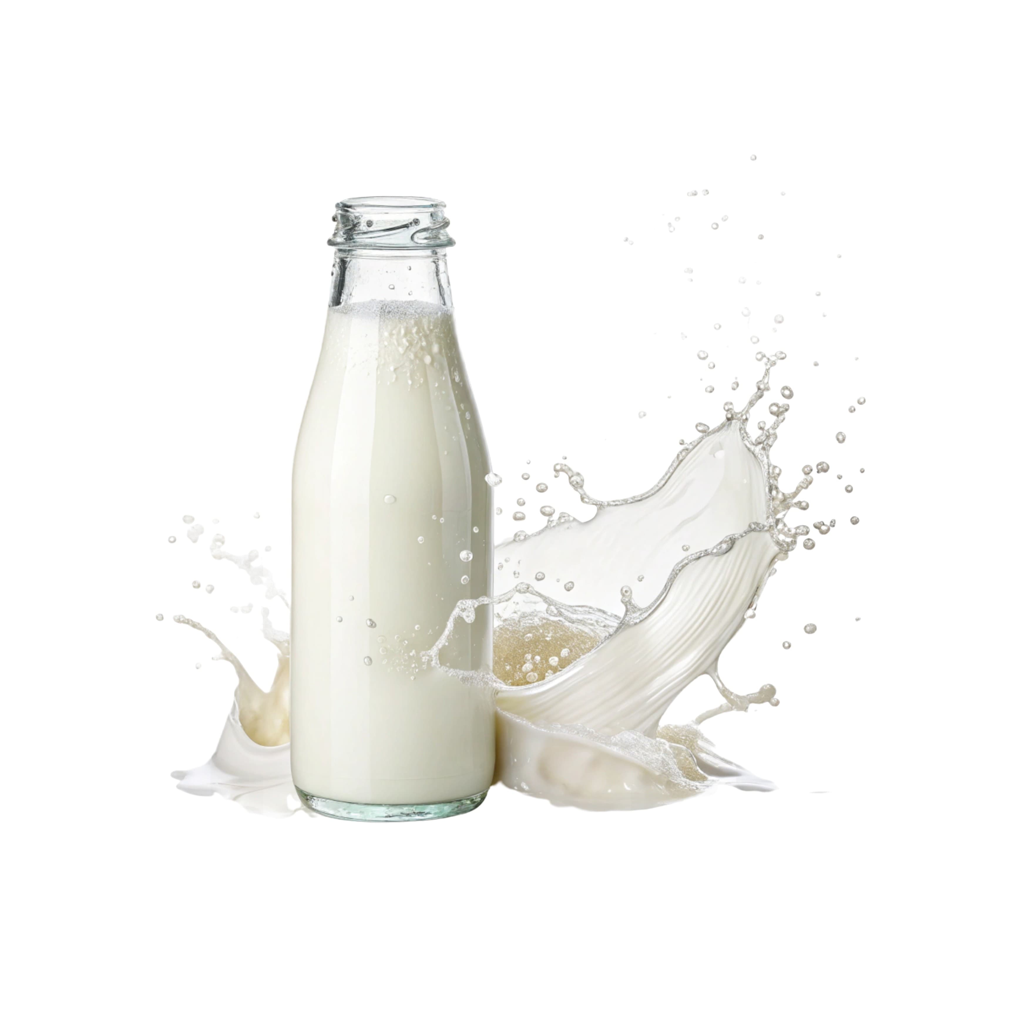 Plant-based milk